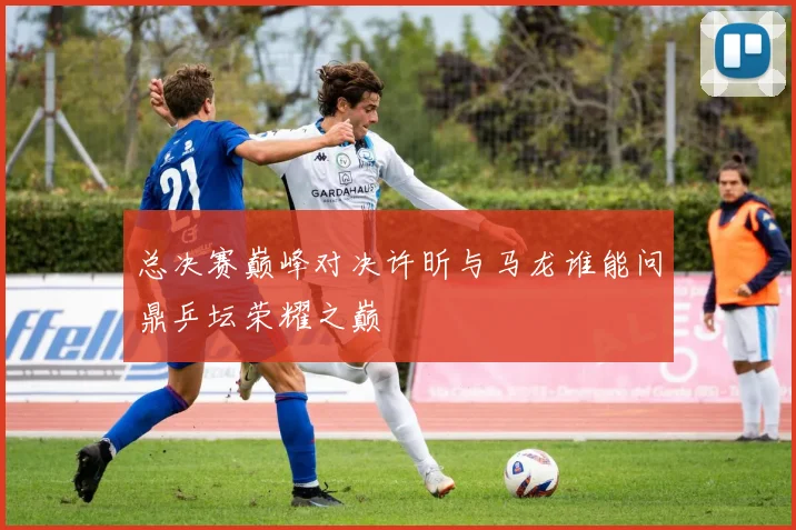 总决赛巅峰对决许昕与马龙谁能问鼎乒坛荣耀之巅