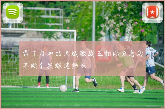 雷丁与加的夫城激战正酣比分悬念不断引发球迷热议
