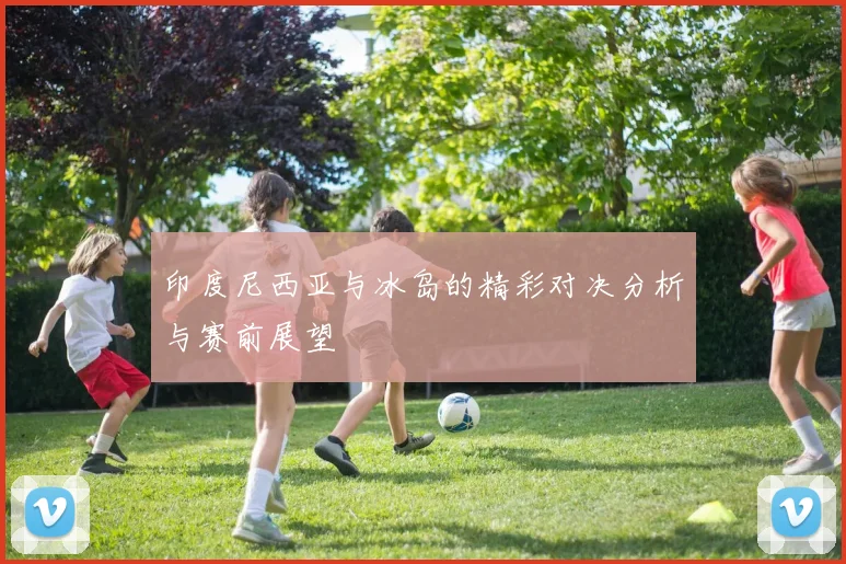 印度尼西亚与冰岛的精彩对决分析与赛前展望